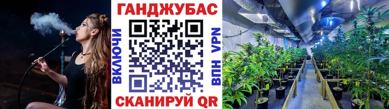 где найти наркотики Алагир Канабис семена